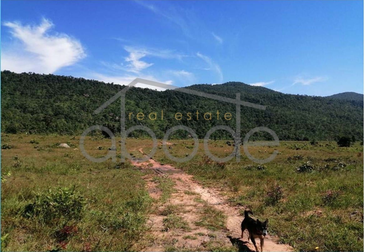 Land for sale Pursat