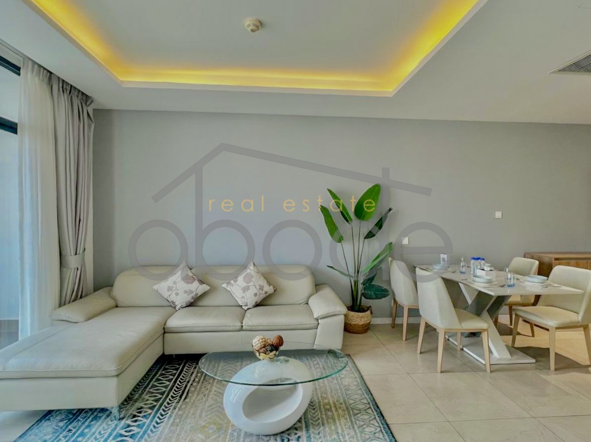 apartment for rent tonle bassac